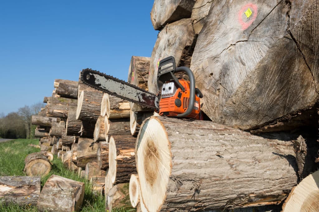 Tronçonneuse orange posée sur une pile de billes de bois coupées, avec des bûches marquées (ex. 52898) sous un ciel bleu.
